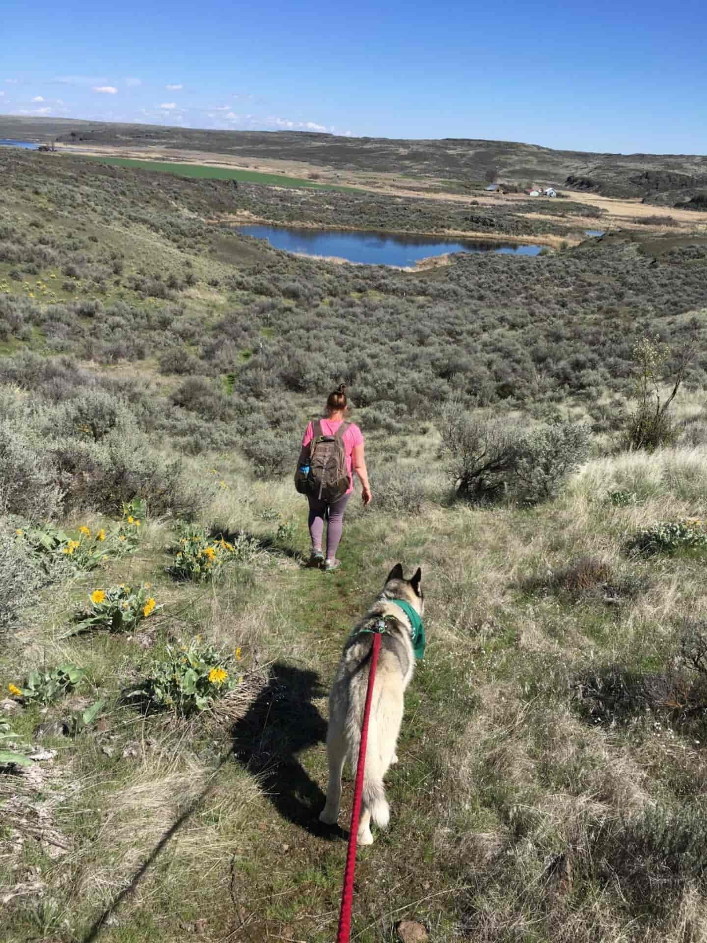 A woman and her dog walking on a trail towards a lake.