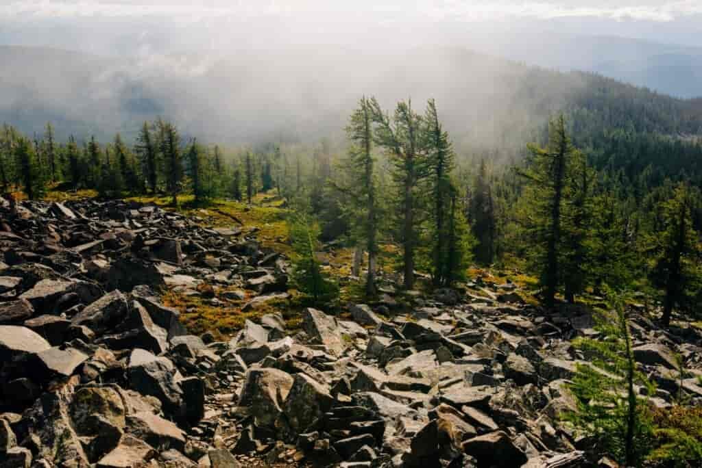 A foggy, rocky area lined with trees.