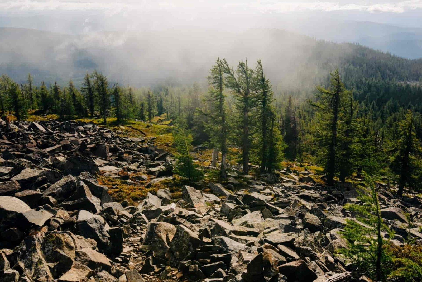 A foggy, rocky area lined with trees.