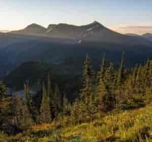 A forested mountain scape.