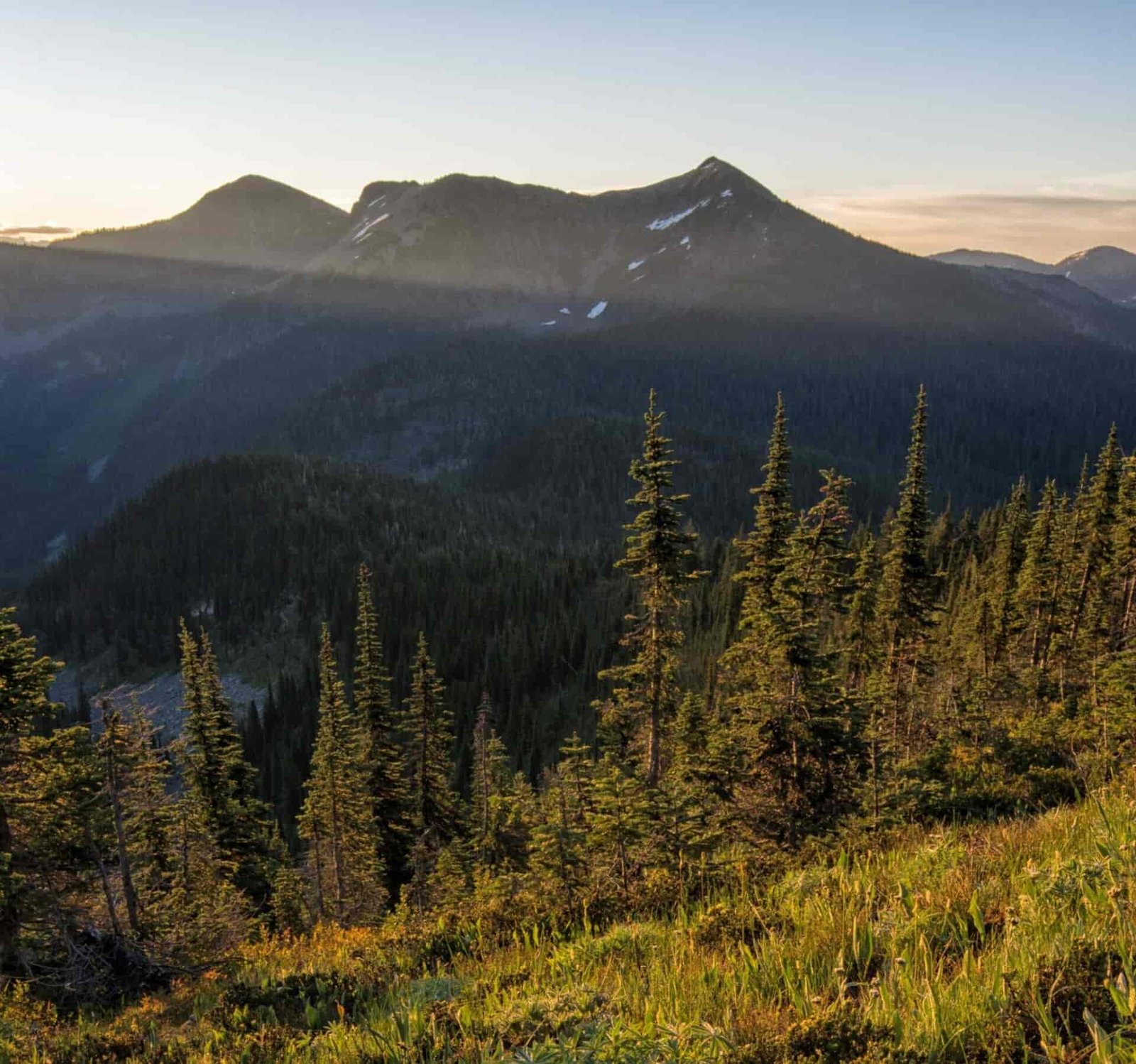 A forested mountain scape.