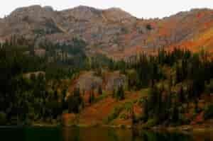 A forested mountain on the side of the lake.