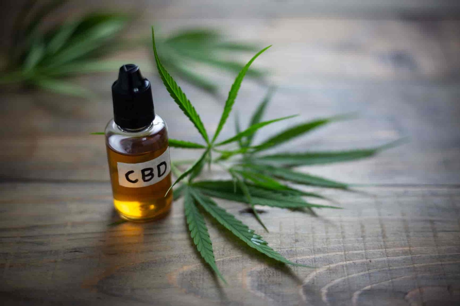 CBD oil with hemp leaves.