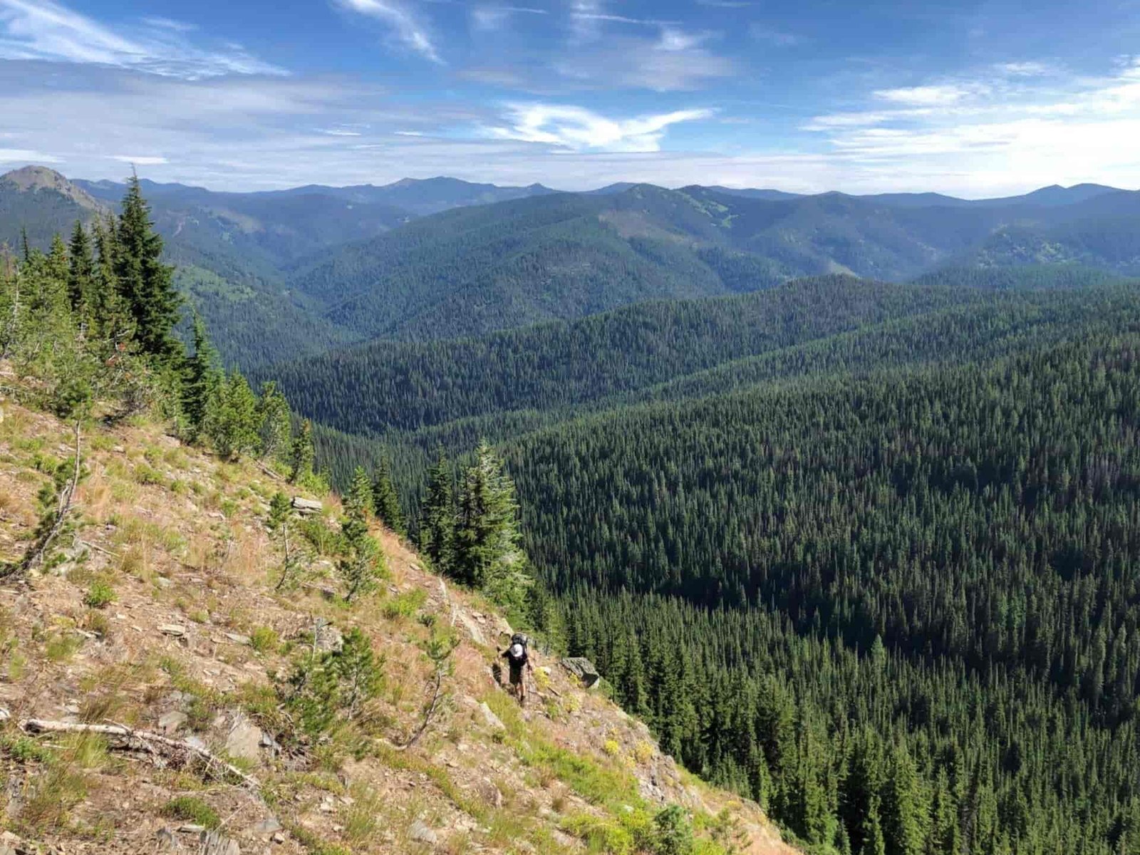 Person overlooking a forested cliff while on a hike.