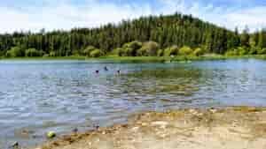 Children swimming and paddleboarding on Fish Lake, with trees in the background and a sandy beach in the foreground.