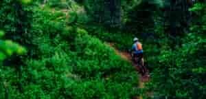 Woman mountain biking around the corner of a forested dirt trail.