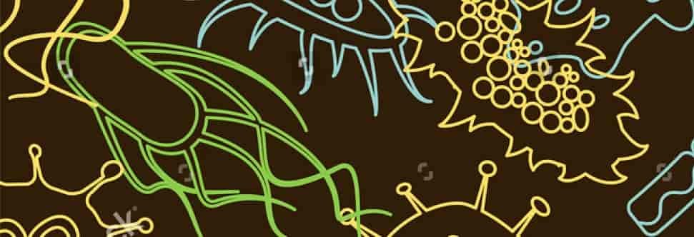 Illustration of vector bacteria.