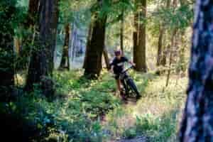 Young mountain biker riding along a singletrack trail through the forest with sunlight coming down between the trees.