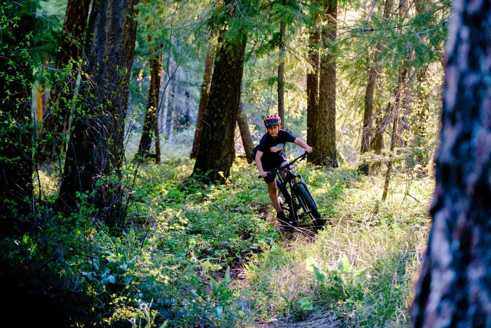 Young mountain biker riding along a singletrack trail through the forest with sunlight coming down between the trees.