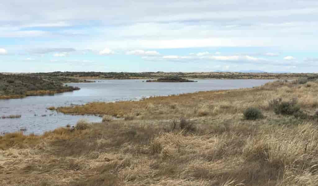 View of Florence Lake with tan wild bunch grass in the foreground and horizon in the distance with partly cloudy blue sky.