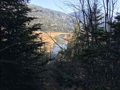 View of the Pack River Delta with the forested Moose Mountain in the distance.