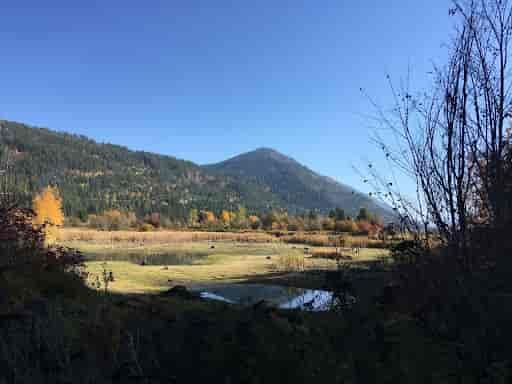 Moose Mountain conservation area with forested mountain peak and valley land alongside Pack River Delta.