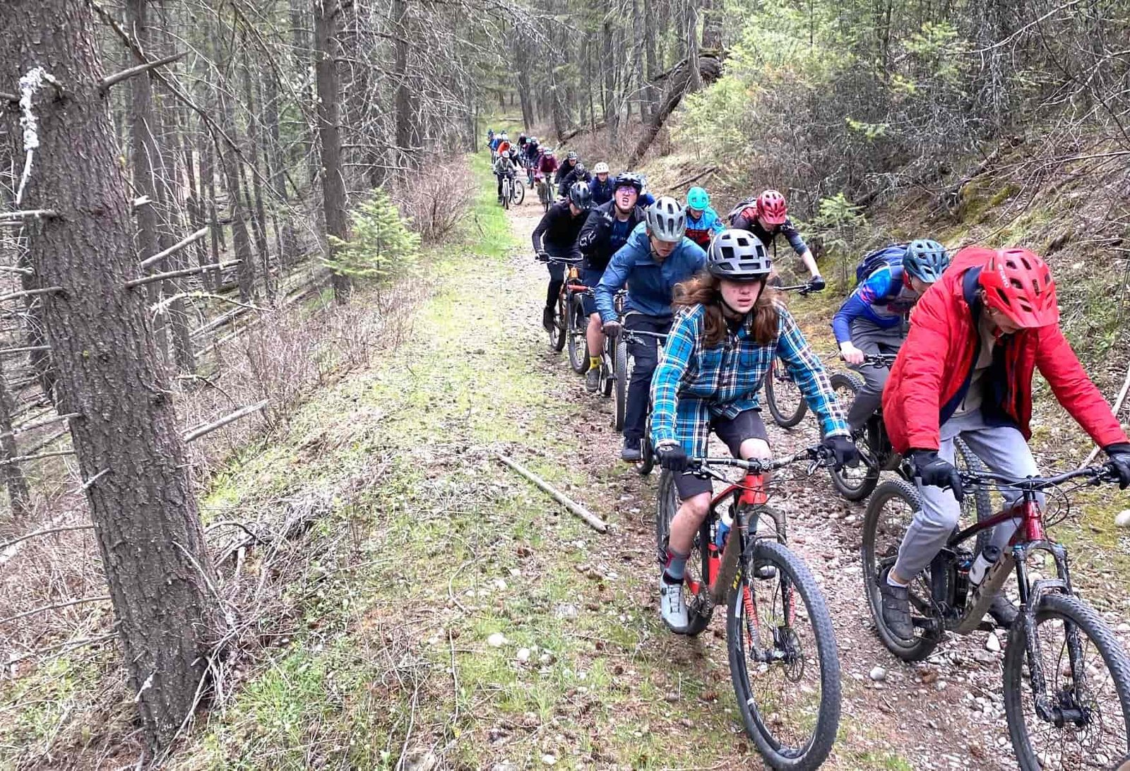 A group of youth mountain biking in a single line, sometimes two by two, on a forested dirt trail in the Northwest.