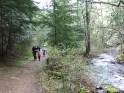The trail to the Liberty Lake Old Growth